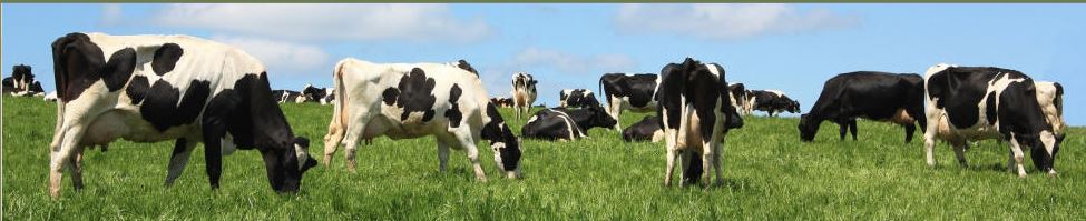 farmwebs